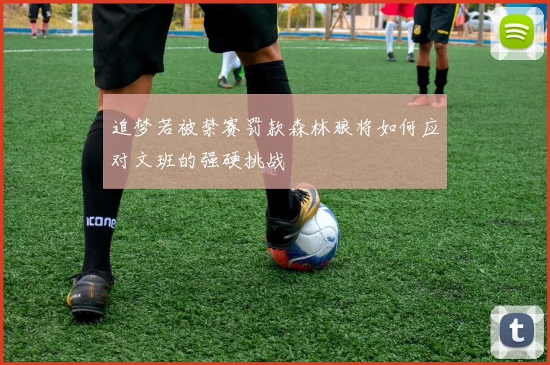 追梦若被禁赛罚款森林狼将如何应对文班的强硬挑战