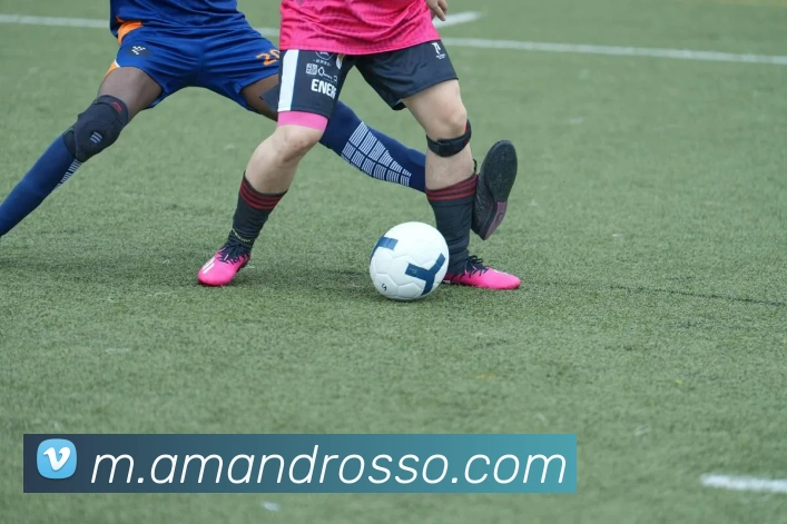 mksports在线登录平台生态图