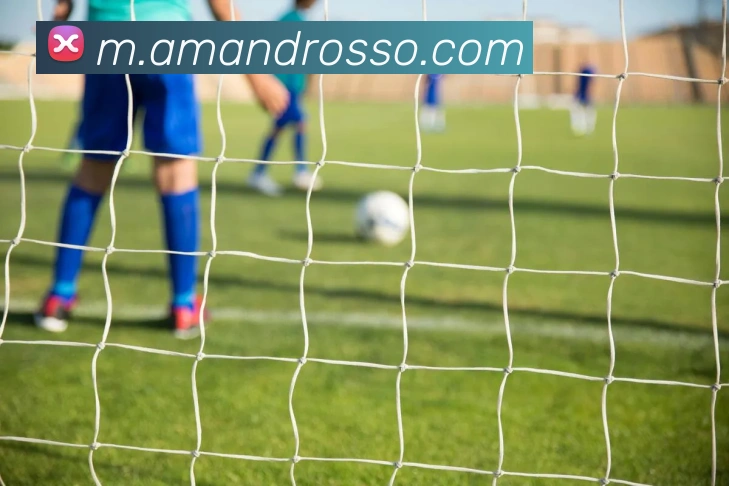 mksports在线登录APP 封面图